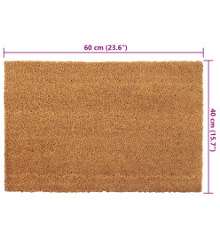 Tapis de porte 2 pcs naturel 40x60 cm fibre de coco touffeté