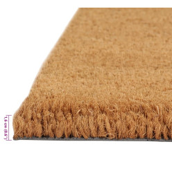 Tapis de porte naturel 50x80 cm fibre de coco touffeté