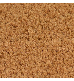 Tapis de porte naturel 80x100 cm fibre de coco touffeté