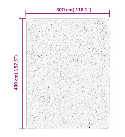 Tapis OVIEDO à poils courts turquoise 300x400 cm