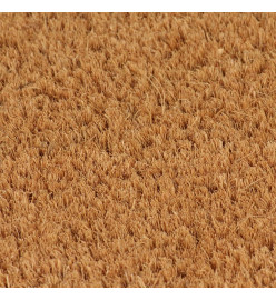 Tapis de porte 5 pcs naturel 40x60 cm fibre de coco touffeté