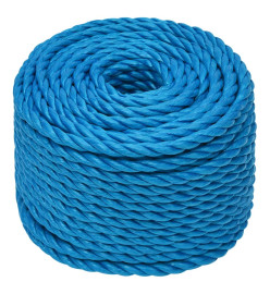 Corde de travail Bleu 14 mm 25 m Polypropylène