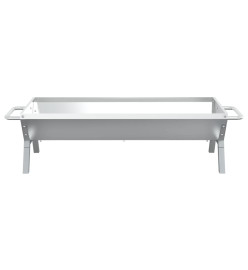 Plateau pour barbecue Argenté 118x42x30,5 cm Acier inoxydable