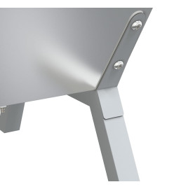 Plateau pour barbecue Argenté 118x42x30,5 cm Acier inoxydable