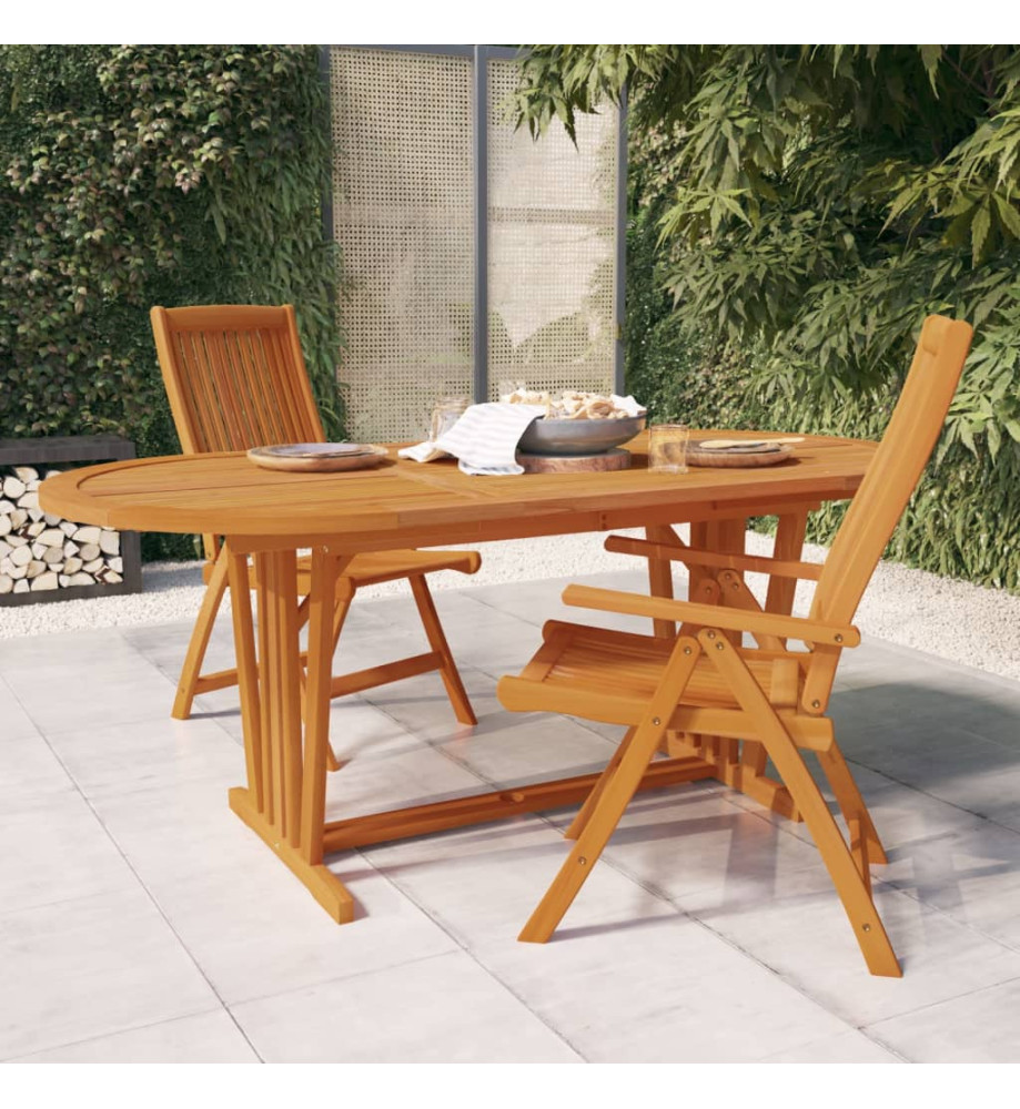 Table de jardin 200x100x75 cm Bois d'eucalyptus solide