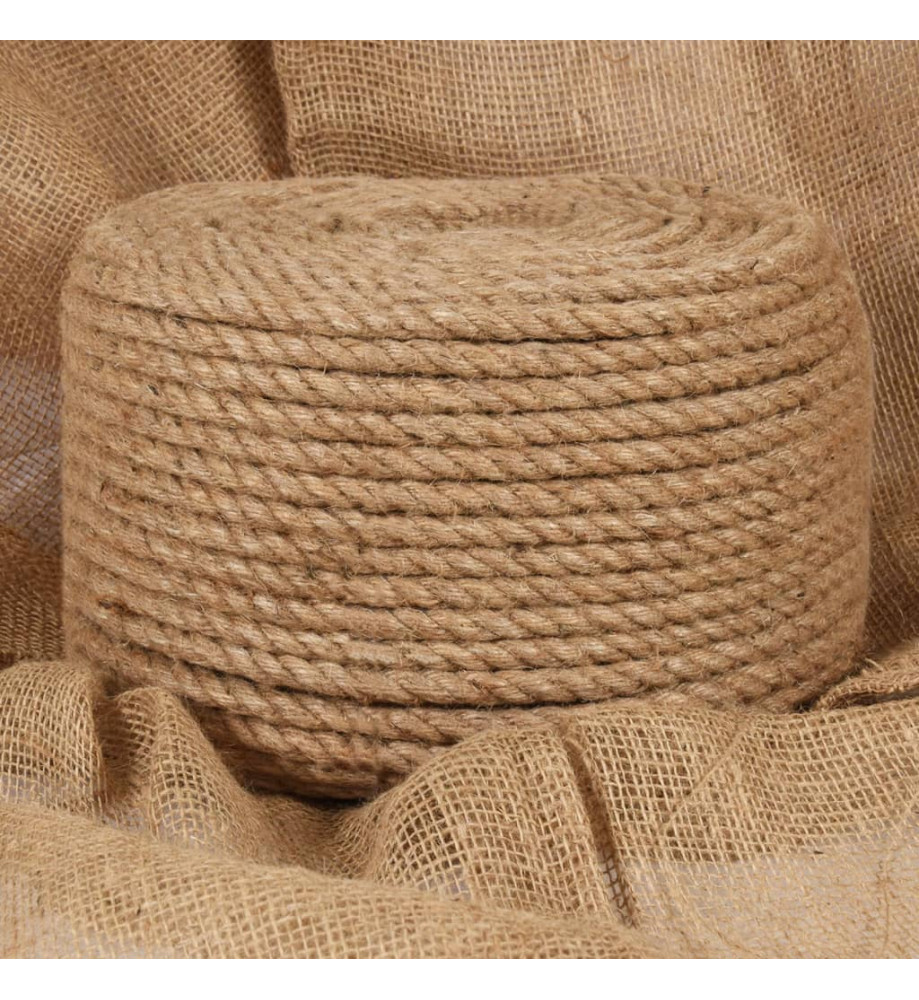 Corde de jute 25 m de long 14 mm d'épaisseur