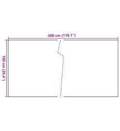 Paravent de balcon marron clair 300x100 cm résine tressée