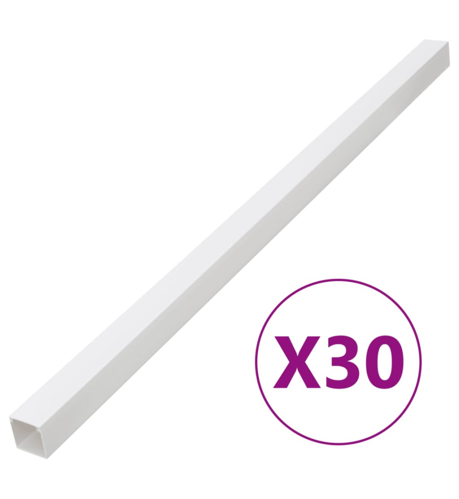 Goulotte de câble 100x60 mm 30 m PVC