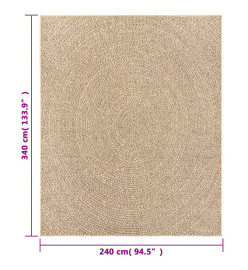 Tapis ZIZUR 240x340 cm aspect de jute intérieur et extérieur