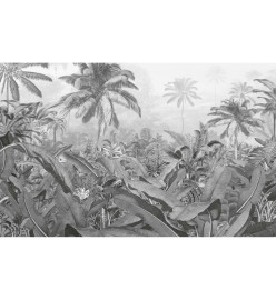 Komar Papier peint photo Amazonia Noir et blanc 400x250 cm