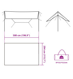 Bâche de camping vert 500x294 cm imperméable