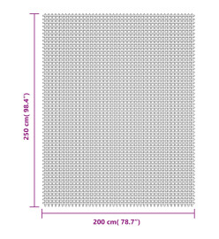 Tapis de sol de camping gris clair 2,5x2 m