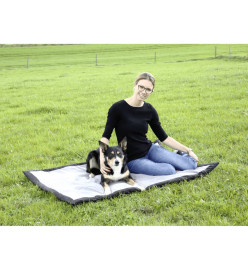 Kerbl Couverture de voyage pour chiens 140 x 100 cm Gris et Noir 81265