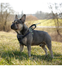 Kerbl Harnais de sécurité d’auto à animaux de compagnie 44-55 cm Noir