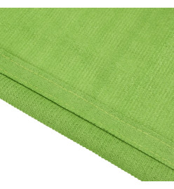 Tapis de tente vert clair 250x400 cm PEHD