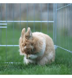 Kerbl Enclos extérieur pour petits animaux avec barrière de séparation