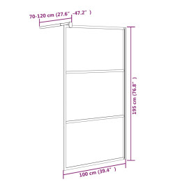 Paroi de douche 100x195 cm Verre ESG demi-dépoli Noir