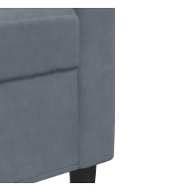 Ensemble de canapés 2 pcs avec coussins Gris foncé Velours