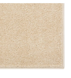 Tapis à poils courts 80x150 cm Beige