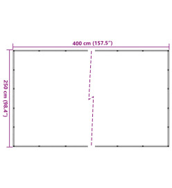 Filet pour remorque vert 2,5x4 m PEHD