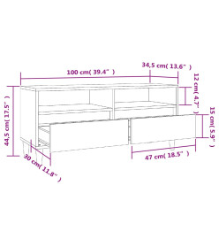 Meuble TV sonoma gris 100x34,5x44,5 cm bois d'ingénierie