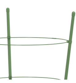 Supports pour plantes de jardin 4 anneaux 5pcs Vert 90 cm Acier