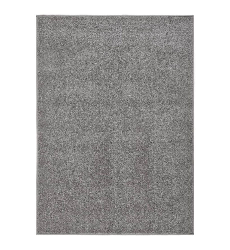 Tapis à poils courts 120x170 cm Gris