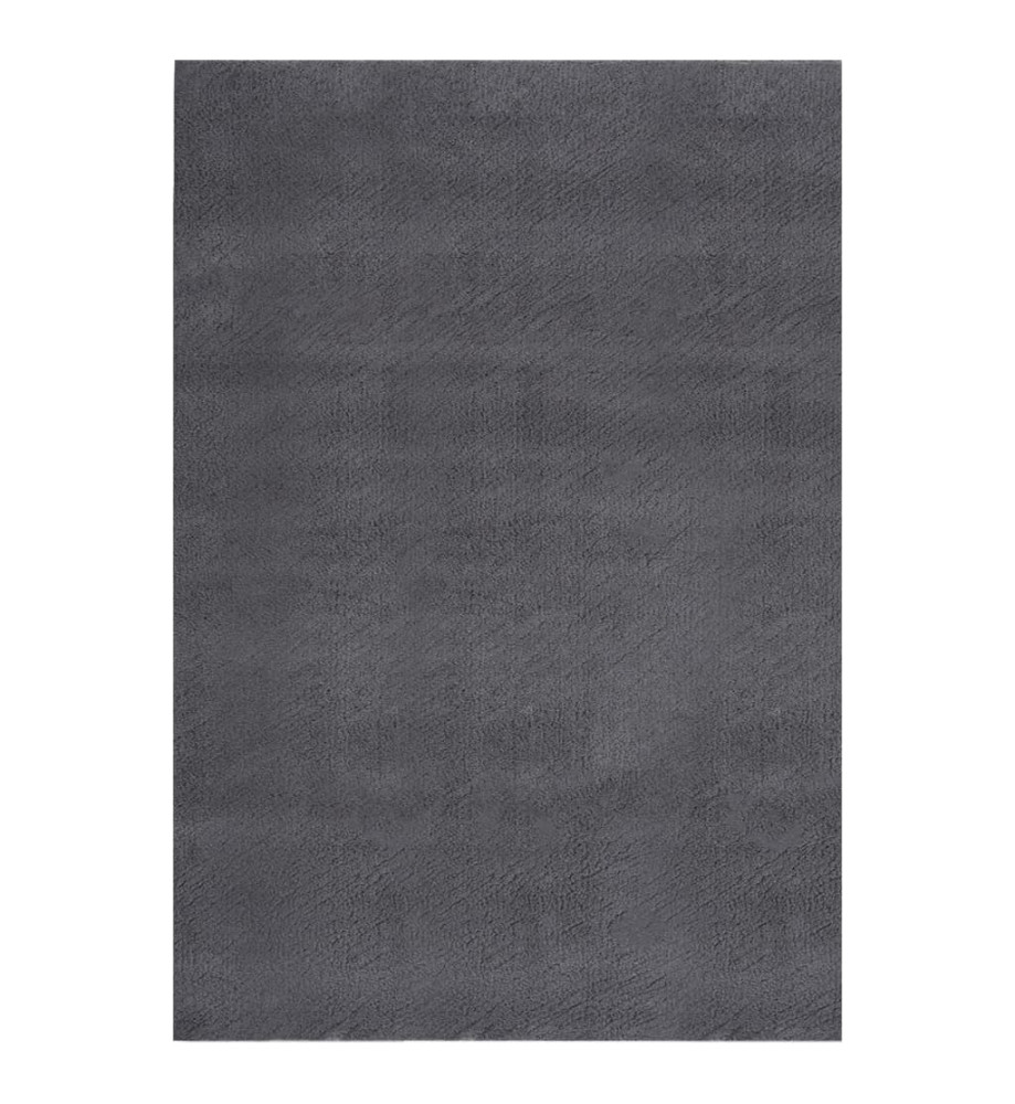 Tapis shaggy doux lavable 200x290 cm Antidérapant Anthracite