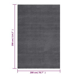 Tapis shaggy doux lavable 200x290 cm Antidérapant Anthracite