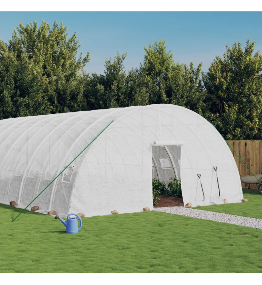 Serre avec cadre en acier blanc 144 m² 24x6x2,85 m