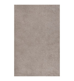 Tapis shaggy à poils longs Beige 200x290 cm