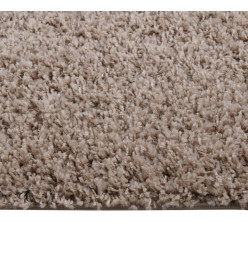 Tapis shaggy à poils longs Beige 200x290 cm