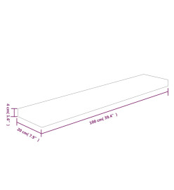 Panneau d'étagère 100x20x4 cm Bois de chêne massif non traité