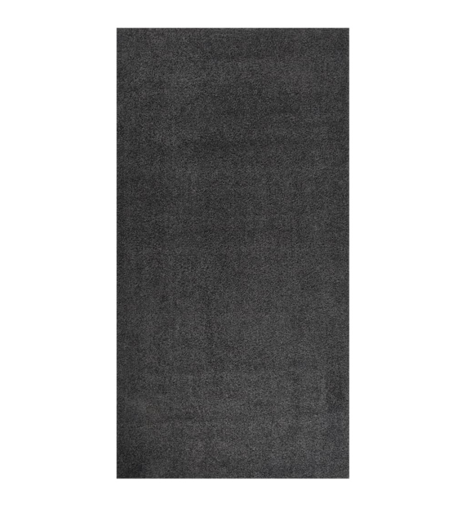 Tapis shaggy à poils longs Anthracite 80x150 cm