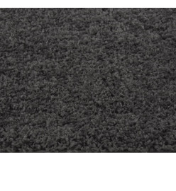 Tapis shaggy à poils longs Anthracite 80x150 cm