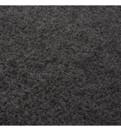 Tapis shaggy à poils longs Anthracite 80x150 cm