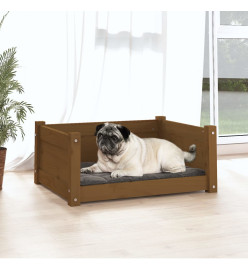 Lit pour chien Marron miel 65,5x50,5x28 cm Bois de pin solide