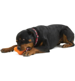 West Paw Jouet pour chiens avec Zogoflex Tux Orange mandarine S