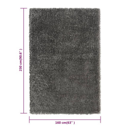 Tapis shaggy à poils hauts Anthracite 160x230 cm 50 mm