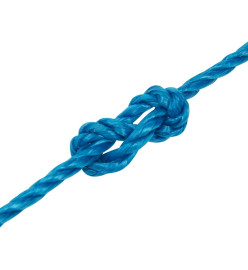 Corde de travail Bleu 3 mm 500 m Polypropylène