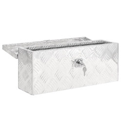 Boîte de rangement Argenté 50x15x20,5 cm Aluminium