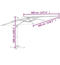 Parasol déporté avec mât en aluminium Anthracite 400x300 cm