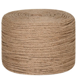 Corde de jute 250 m de long 8 mm d'épaisseur