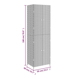 Armoire de rangement de jardin Noir 59x40x180 cm Résine tressée