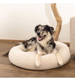 Beeztees Lit pour chien Mousse à mémoire de forme Jaxx 60x25 cm Beige