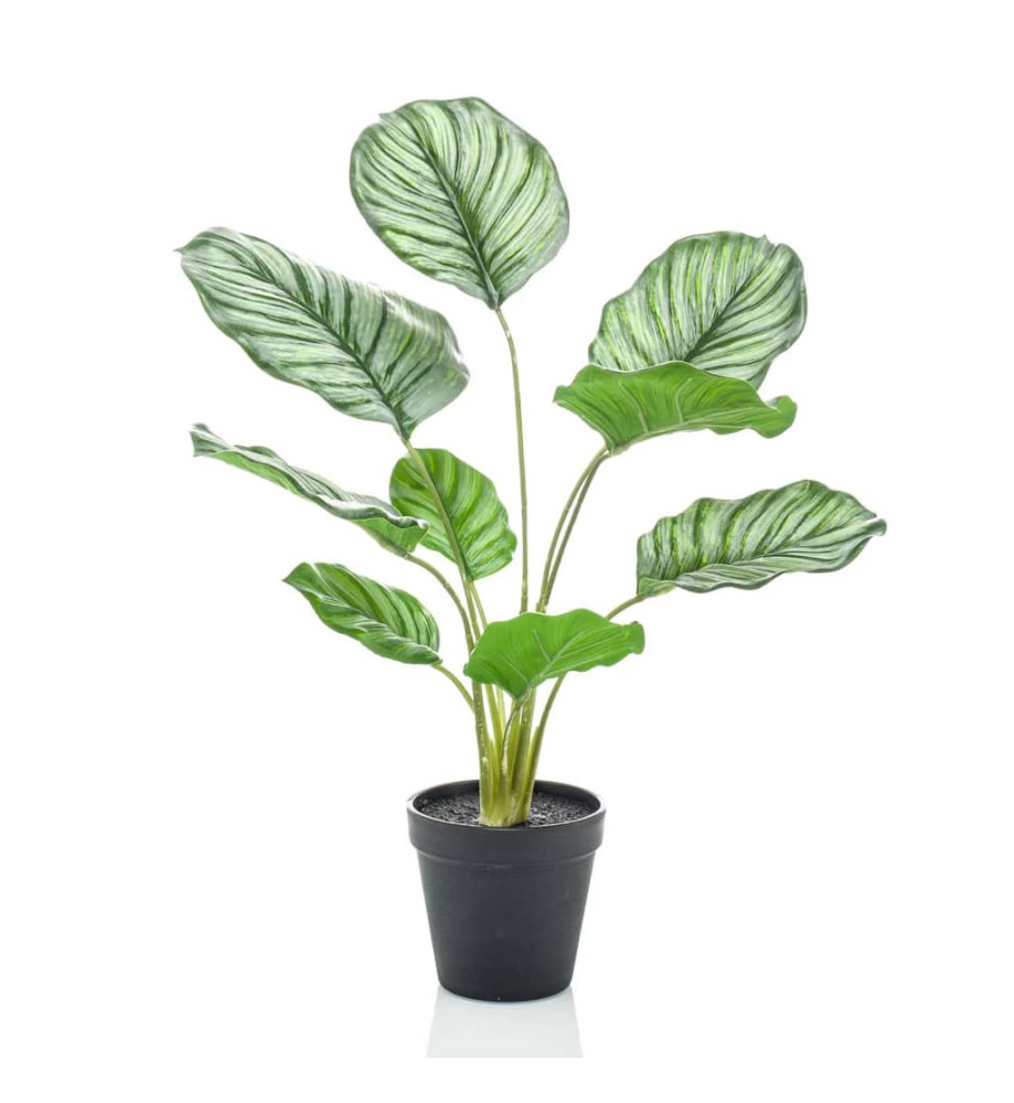 Emerald Calathea Orbifolia artificiel 45 cm en pot