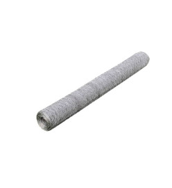 Grillage pour volière Acier galvanisé 25 x 1 m Argenté