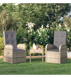 Chaise inclinable de jardin 2pc et coussins Résine tressée Gris