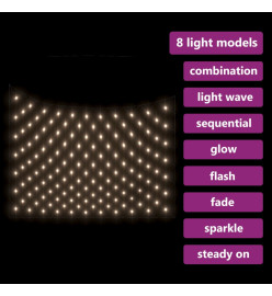 Filet lumineux blanc chaud de Noël 3x3 m 306 LED Int/ext