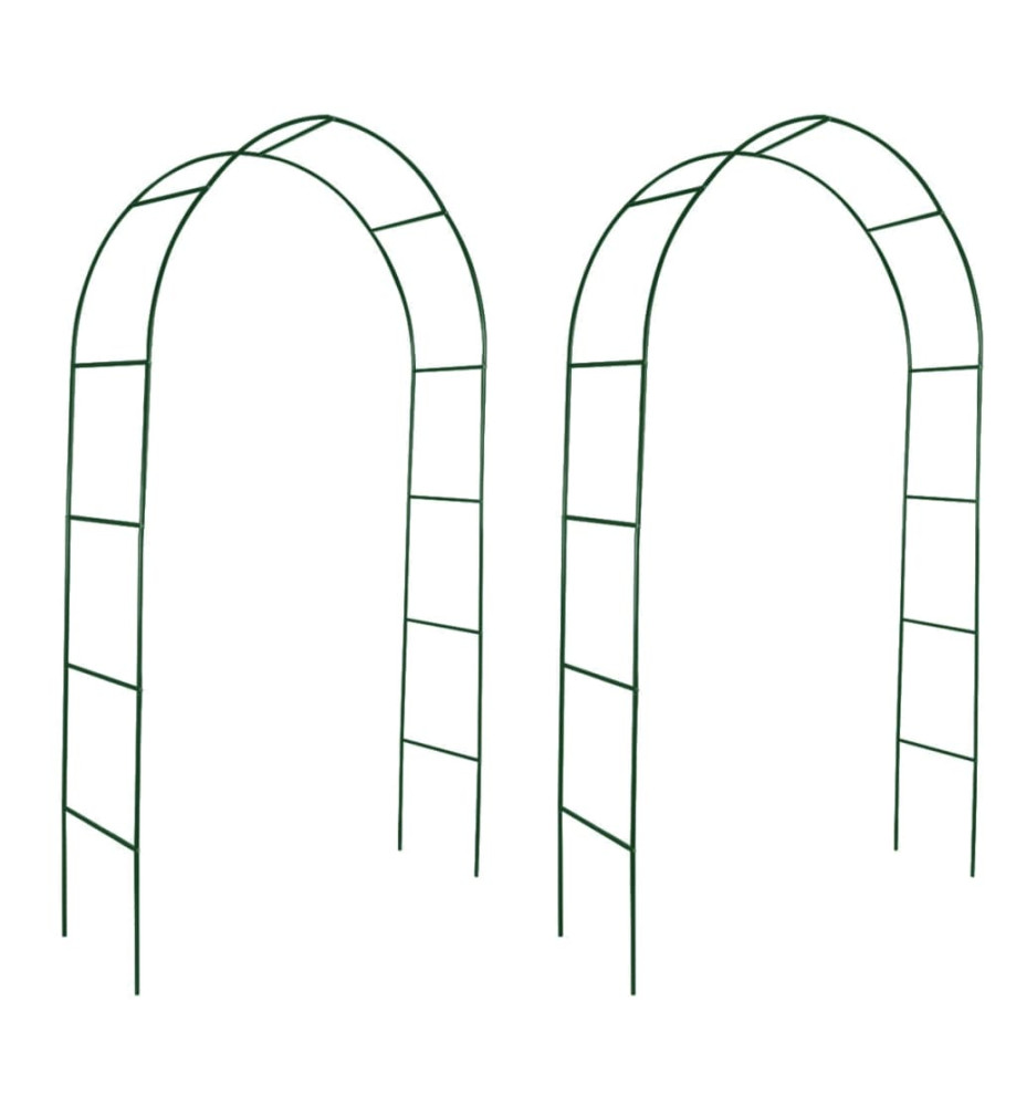 Arche de jardin 2 pcs pour plantes grimpantes